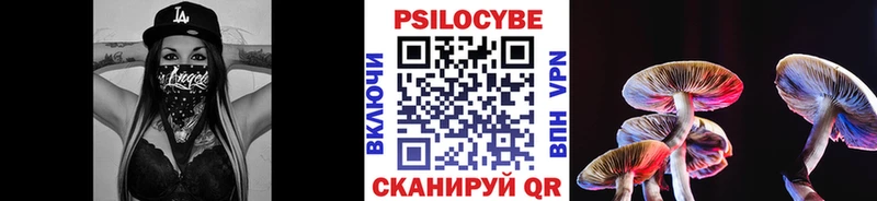 Галлюциногенные грибы мицелий  KRAKEN сайт  Кимры 
